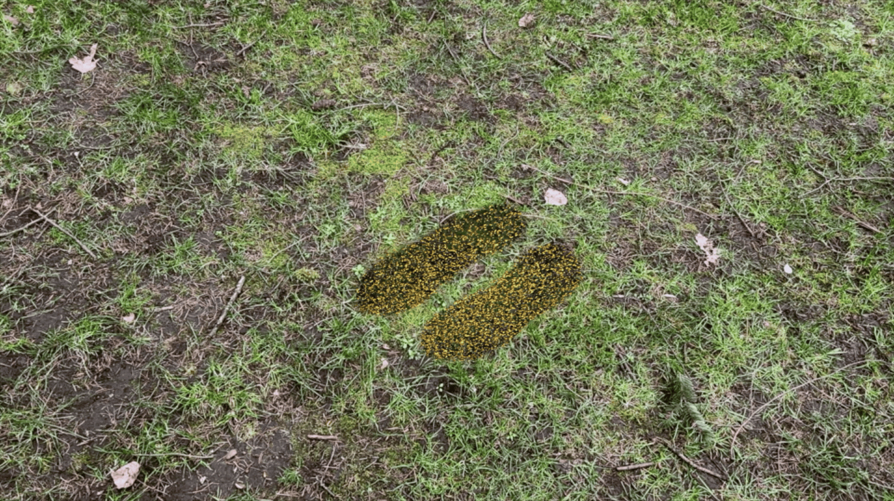 Leaving traces in place